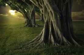 images-3